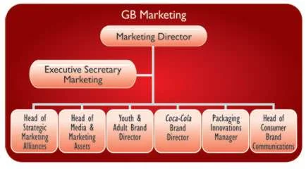 Organizational Chart Of Coca Cola Company