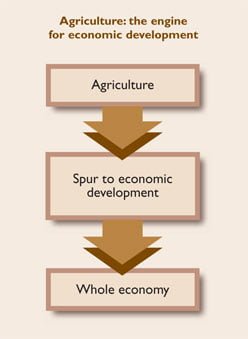 Economic development