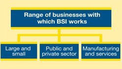 Range of organisations BSI works with