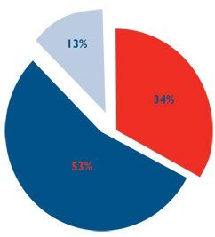 Customer service pie chart