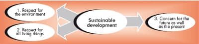 Ideas of sustainable development