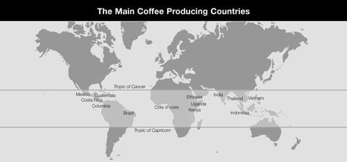 Nestle 5 Diagram 1