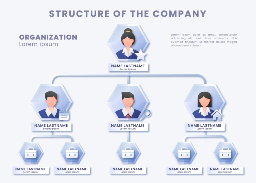 The structure of a business