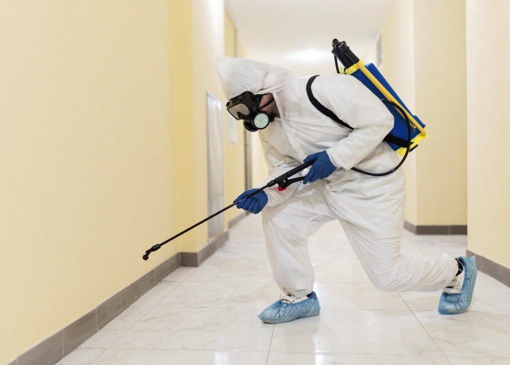  Dealing with Mould