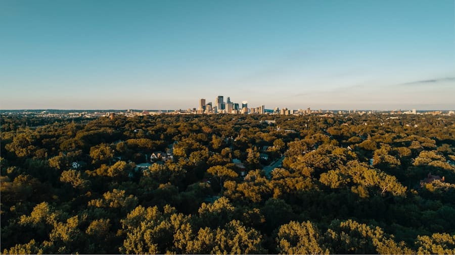 urban and regional policy