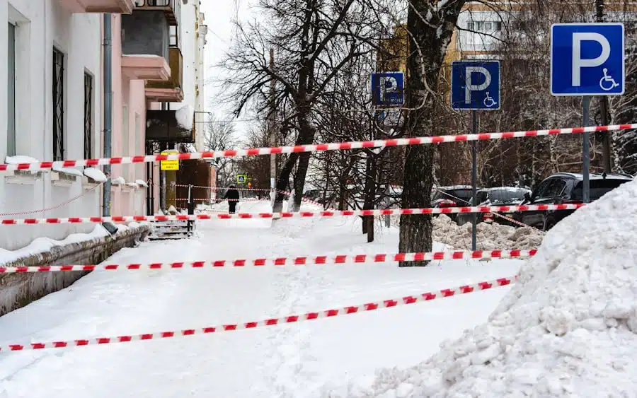 Case Studies in Criminology: Key Insights and Applications