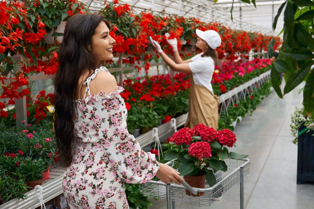 Chelsea Flower Show 2025