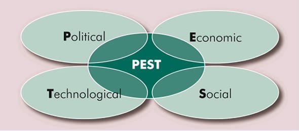 3 Using Pest Analysis To Identify External Influences - Business Case Studies