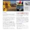 Edition 15 Business Case Studies eBook